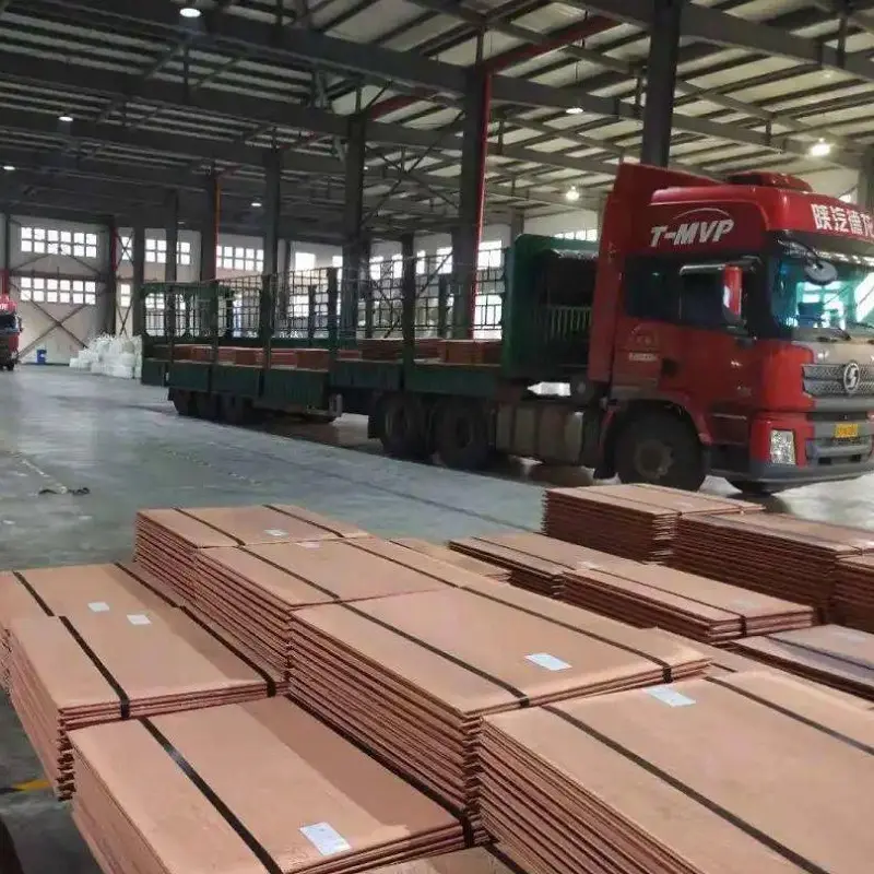 純粋な電解銅板カソード銅工場で高品質の販売