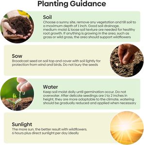 Fleurs sauvages en vrac 4 Oz 100,000 + 26 Variété mélange annuel <span class=keywords><strong>vivace</strong></span> attirer papillon oiseaux abeilles Pots de fleurs jardinières pour le sol de la maison - Product Image 6