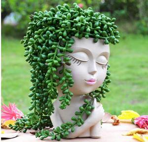 Lady Face Planter, Head Girl Heads Maceta Linda Maceta Estatua femenina Macetas, Arte Resina Suculenta - Product Image 1