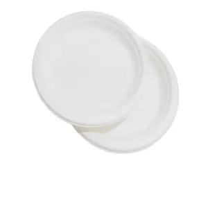 Placa oval descartável biodegradável para salão de jantar bagaço de cana-de-açúcar branco natural de 10 polegadas e 12 polegadas