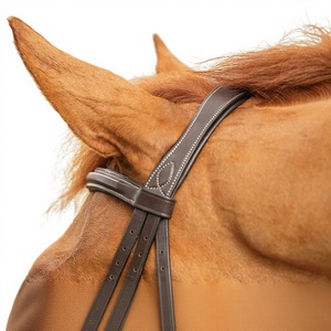 Brida Inglesa con Cabezal Anatómico y Narquileras de Salto, Acolchada Suave, de Cuero Genuino Hecha a Mano para Caballos - Product Image 3