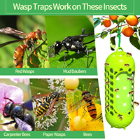 Offre Spéciale nouveaux modèles piège à colle pour parasites des mouches piège à parasites collant piège à colle efficace et à insectes attrape-parasites pour verger