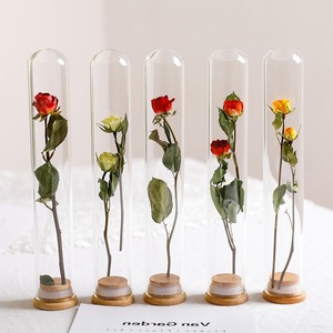 520 regalo del Día de San Valentín regalo de compañía nupcial tubo de ensayo ramo de flores secas flor <span class=keywords><strong>eterna</strong></span> pareja botella de deseos - Product Image 3
