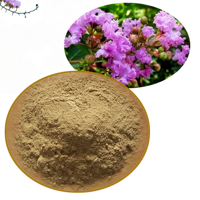 Banaba extract corosolic acid powder