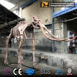 Mon Dino parc à thème aire de jeux squelette animal mammouth simulé squelette fossile modèle dans le parc Dino - Product Image 6