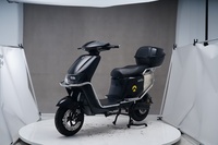 Indischer Scheibenbremsen-Elektroroller mit 2 Rädern, persönlicher Transporter, günstiger Preis, 48V CKD Sportbikes, 400W, 50km Reichweite, 40-60km/h