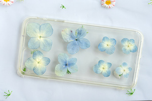 Hydrangea bleu naturel, fournitures pour la création de cartes, bijoux en résine, plante naturelle, fleur pressée véritable, écologique - Product Image 3