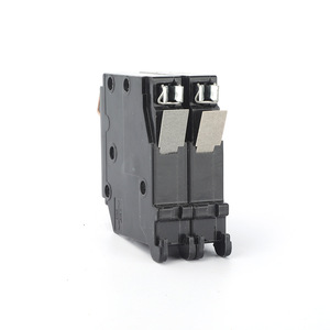 Interruptor de Circuito Enchufable Sika 2P 100A Tipo CH Curva B 230V Interruptor Miniatura de Baja Tensión - Product Image 3