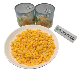 <span class=keywords><strong>Maïs</strong></span> <span class=keywords><strong>sucré</strong></span> en conserve importé 2026, délicieux, 425g, durée de conservation 3 ans, en sirop, meilleur prix en promotion - Product Image 2