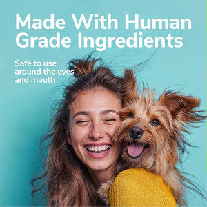 Huismerk Bessenblauw Verhelderende Shampoo Voor Huisdieren | Provitamine B5 Traanvlekverwijderaar En Geurbestrijding Hond En Kat Wassen Oem/Odm - Product Image 5