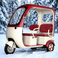 Tricycle électrique 48V 800W pour adultes, couleur personnalisable avec auvent coupe-vent