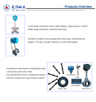 Precision Flange Type Vortex Flow Meter Transmitter with -1.5 Accuracy for Steam Air and Low-viscosity Liquid