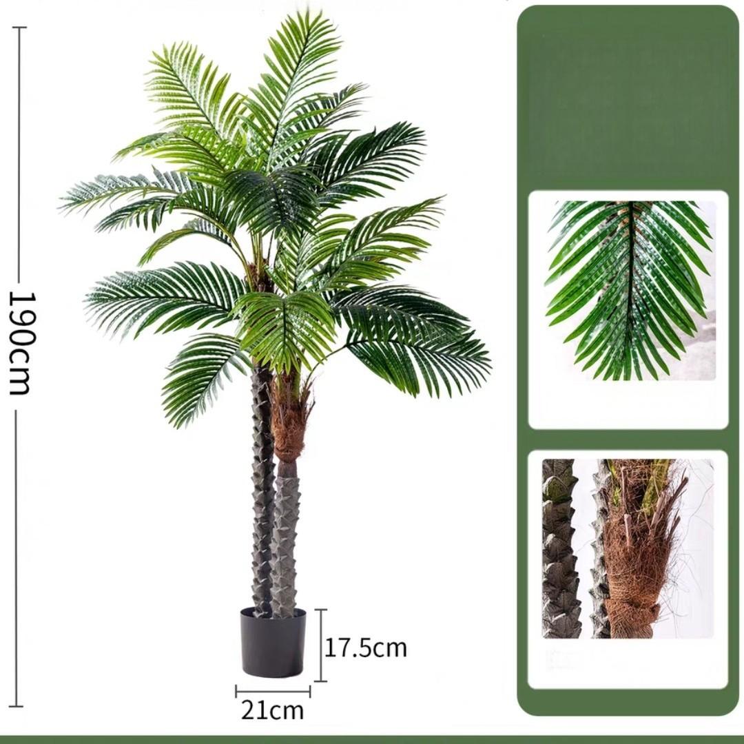 Palma verde da 1,9 metri