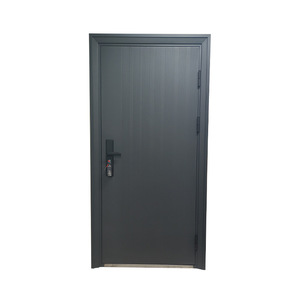 Porte de sécurité en acier, intérieure, à commande manuelle, insonorisée, résidentielle, contemporaine, surface finie - Product Image 4