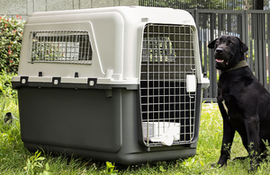 Jaula Transportadora <span class=keywords><strong>de</strong></span> Mascotas Grande, Aprobada por IATA, <span class=keywords><strong>de</strong></span> Plástico, para Gatos y <span class=keywords><strong>Perros</strong></span>, <span class=keywords><strong>Caja</strong></span> <span class=keywords><strong>de</strong></span> <span class=keywords><strong>Transporte</strong></span> para Viajes - Product Image 3