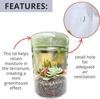 Pot de terrarium en verre de 6x9 pouces, plante d'intérieur avec couvercle pour succulentes, cactus, fougères, mousse de fée - Design transparent élégant