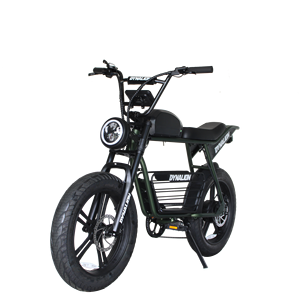 Vente directe d'usine Vélo électrique à pneus larges de 20 pouces à longue portée Vélo électrique <span class=keywords><strong>Quad</strong></span> électrique Vélo électrique pour adultes - Product Image 6