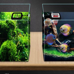 Anillo alimentador flotante para peces de acuario, cono de comida para gusanos rojos, cesta con ventosa, estación de alimentación para guppys, bettas y camarones - Product Image 3