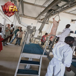 Équipement d'abattage automatique certifié CE pour moutons et chèvres, machines de traitement d'abattoir industriel, équipement d'étourdissement du bétail - Product Image 5