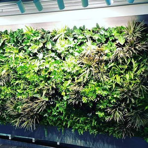 Lámpara LED <span class=keywords><strong>de</strong></span> Cultivo <span class=keywords><strong>de</strong></span> 15W/20W/30W, Regulable, con Lente Ajustable, Semiempotrada y con Opción <span class=keywords><strong>de</strong></span> Montaje en Pared, <span class=keywords><strong>para</strong></span> el <span class=keywords><strong>Crecimiento</strong></span> y Floración <span class=keywords><strong>de</strong></span> <span class=keywords><strong>Plantas</strong></span> <span class=keywords><strong>de</strong></span> Interior Comerciales - Product Image 6