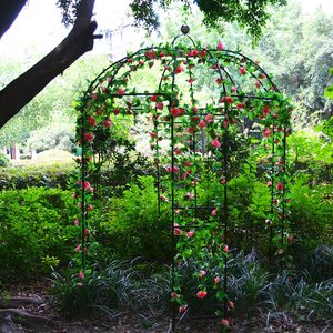 Oniya-Gazebo resistente con forma de jaula de pájaros, arcos, arbusto, puente, estante de flores, soporte de plantas para boda, jardín al aire libre - Product Image 5