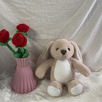 Peluche Lapin Personnalisée en Coton PP Ultra Doux avec Impression Photo Personnalisée, Fermeture Éclair au Dos, Impression par Transfert Thermique, Cadeau Unisexe pour Anniversaire
