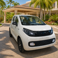 Micro-voiture électrique 3450 mm, petite, 4 portes, avec éclairage LED complet et freins à disque sur les 4 roues, pour le transport des clients d'hôtel, vente en gros