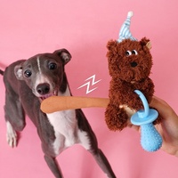 Jouet en peluche pour chien en forme d'écureuil bébé, durable, couineur, interactif, avec sucette, pour chiots et chiens de petite et moyenne taille