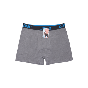 Boxers pour hommes, coupe moyenne, taille mi-haute, longueur longue, coton doux, respirant, motif tissé, logo sur la ceinture, taille XL - Product Image 1