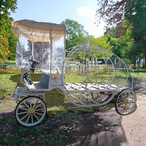 Cercueil électrique de luxe blanc classique et raffiné pour transport funéraire solennel - Transport spécial à vendre - Product Image 5