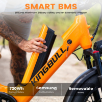 Bicicleta Eléctrica de Carga Voyager con Estándar Europeo, Batería de 250W 48V 15Ah, Neumáticos Gruesos de 20x4.0, Sensor de Torque y Freno Hidráulico