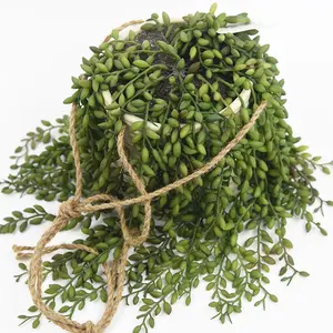 Extra long string of pearls wall decor artificial plant hanging bonsai with ceramic pot