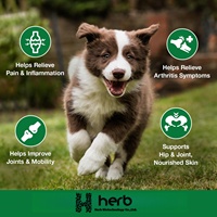 Aide à l'anxiété, au stress, à la douleur, à l'inflammation, à l'arthrite, huile de chanvre à puissance maximale pour chiens et chats