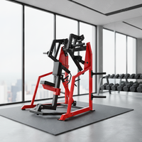 Équipement de musculation en acier inoxydable, machine de musculation commerciale à plaques de poids pour triceps et biceps