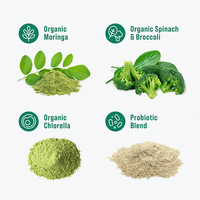 Poudre d'électrolytes verte pour adultes, marque privée OEM, SUPER GREENS, compléments alimentaires à base de plantes, apportant de l'énergie, 20g, vente directe