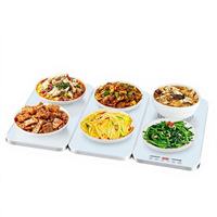 Bandeja Calentadora Modular Plegable con Batería, Tabla de Aislamiento para Mesa de Comedor, Fiestas, Buffet y Servicio de Alimentos