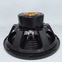 Subwoofer Profesional de 18 Pulgadas con Cono de Fibra de Carbono y Neodimio para Sistemas de Sonido Line Array