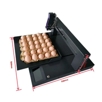 Machine de codage d'oeufs puissante imprimante à jet d'encre à bas prix tête d'impression à plat de qualité automatique machine d'impression d'oeufs de petite entreprise