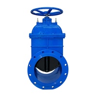 Válvula de Compuerta Manual de Hierro Dúctil de 200mm 400mm con Brida de Sellado Suave para Alta Temperatura 1.0-2.5MPa Z45X-10P Precio