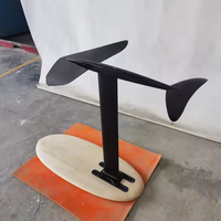 Planche de surf hydroptère en fibre de carbone planche de sport aquatique pour le surf avec prix d'usine Stock en main