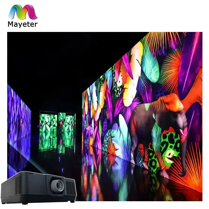 Digital Art Installation Projection Mapping Museum/Exhibition Immersive 360 Wall Projection Experience