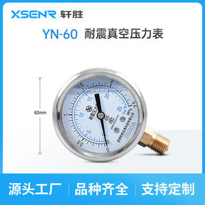 Manomètre Suzhou Xuansheng YN60 2,5 MPa en acier inoxydable anti-vibration, raccord fileté 60 mm - Product Image 3
