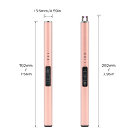 Briquet électrique rechargeable USB à l'épreuve du vent et sans flamme Double interrupteur de sécurité avec briquet de cuisine à arc plasma