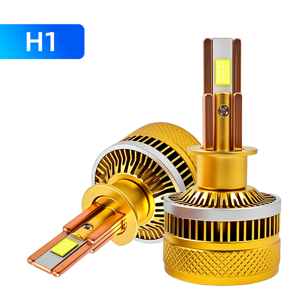H1