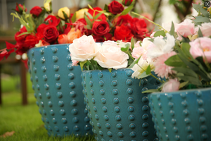 Maceta de Cerámica Ecológica de Entrega Rápida, Maceta Redonda Moderna con Orificio de Drenaje, Autorriego, Anti-Pudrición de Raíces para Jardín del Hogar - Product Image 6