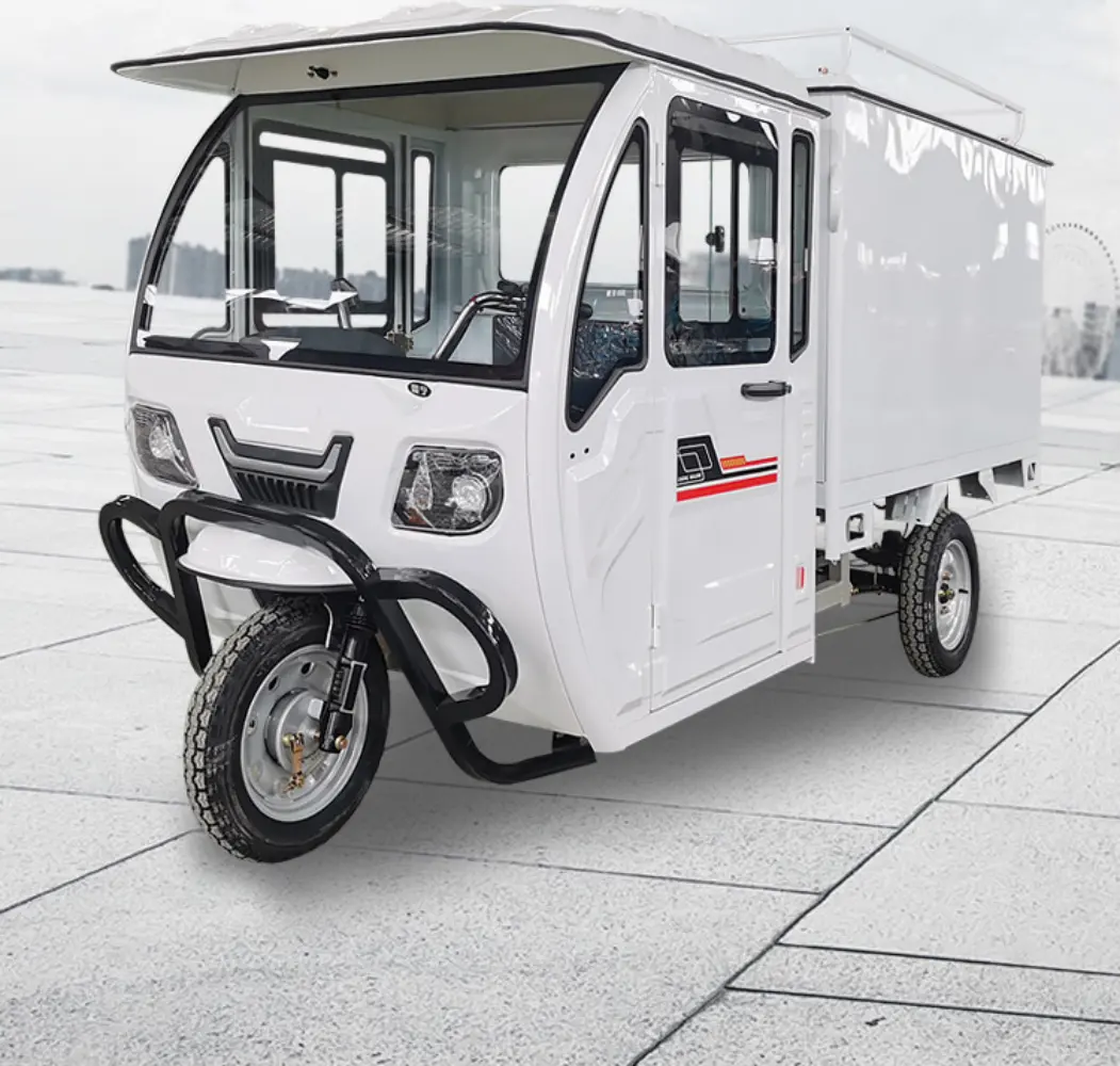 Ce được phê duyệt điện Trike hàng hóa ba bánh 3 Wheeler với container với Cab chuyển phát nhanh Heavy Duty xe máy Trike