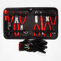 OEM ODM Personnalisé Kit d'outils de réparation automobile : Pince à colliers de serrage droite, Levier de déconnexion courbé, Ouvre-phare