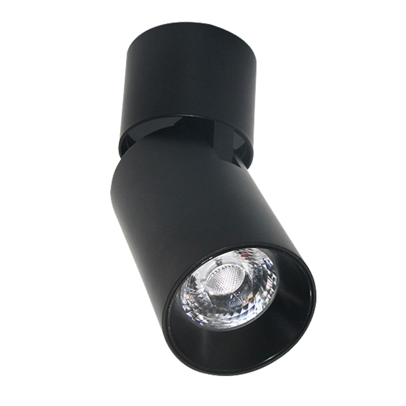 Modern 12W LED Ceiling Light IP54 Protection Aluminum Body Wall-Mounted Outdoor Adjustable Downlight Knob Bathroom Dimmable