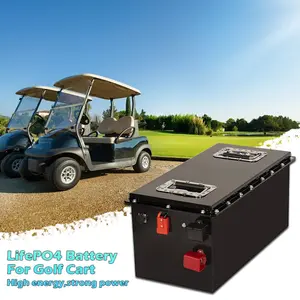 딥 사이클 OEM ODM 48V 100Ah 150Ah 200Ah Lifepo4 셀 51.2V 105Ah 골프 버기 리튬 이온 배터리 팩 클럽 자동차 골프 카트