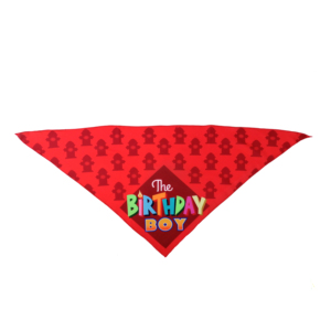 יצרן באיכות גבוהה זול oem קירור מותאם אישית ריקים פייזלי בנדנה לחיות מחמד לכלבים - Product Image 3